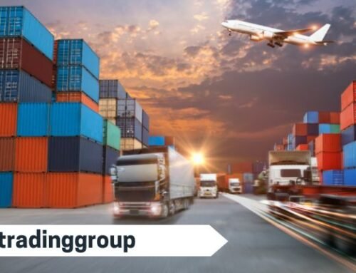 How to Find The Best Freight Forwarding Companies In Dubai?